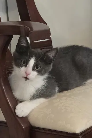 Julio