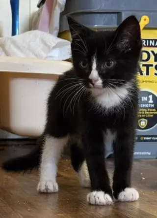 Watchamacalit