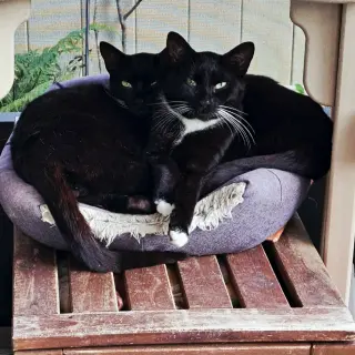 Zip & Zulu