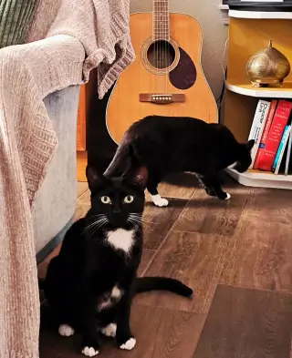 Zip & Zulu