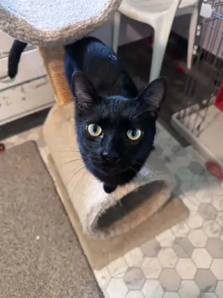 Leroy