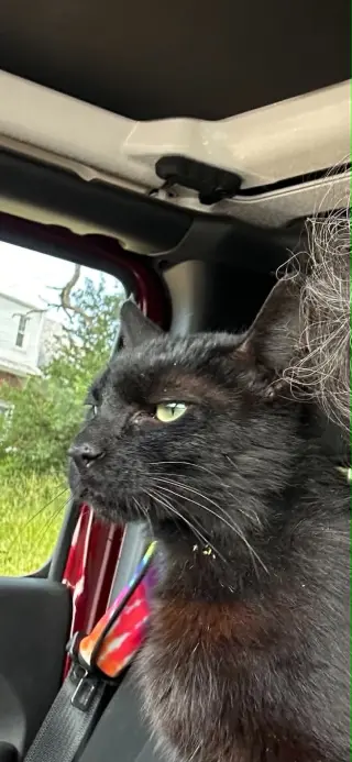 Leroy