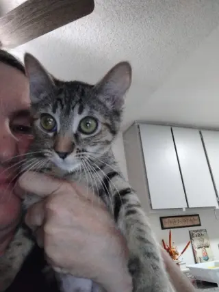 Lily ( Kat)