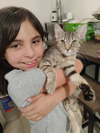 Lily ( Kat)