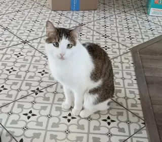 Fred