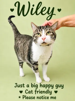 Wiley (FCID# 01/24/2025 - 101) Willow Grove