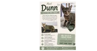 Dunn