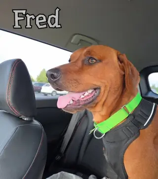 Fred