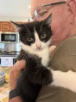 Nini Coco (petite little gal)