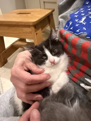 Nini Coco (petite little gal)