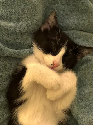 Nini Coco (petite little gal)