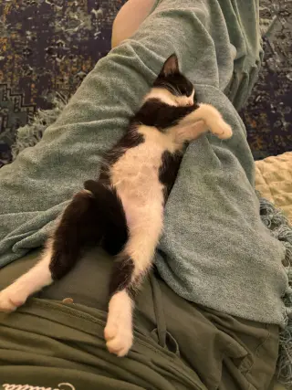 Nini Coco (petite little gal)