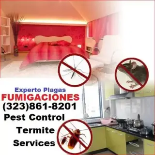 👉TERMITAS Y CONTROL DE PLAGAS