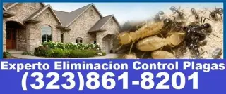 👉TERMITAS Y CONTROL DE PLAGAS