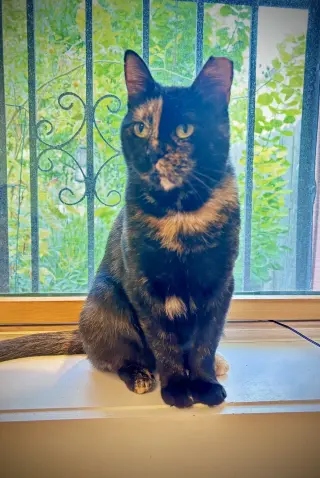 Georgina