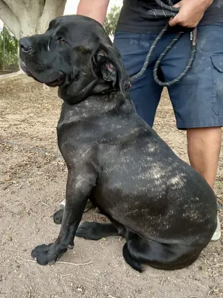 Luna 2