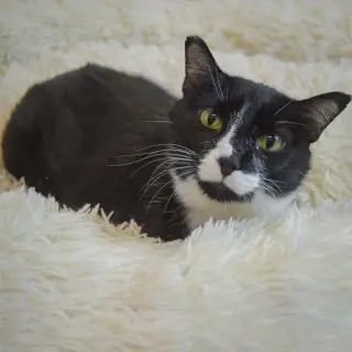 Doug