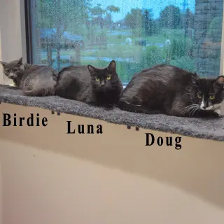 Doug