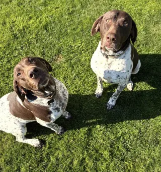 Thor & Ellie