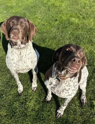 Thor & Ellie