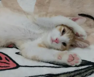 Radiance * IN FOSTER *