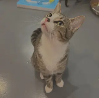 Fernando