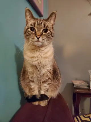 Gatsby *IN FOSTER*