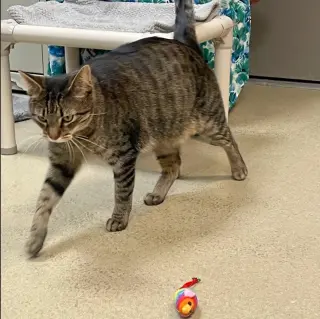 Donnie PB