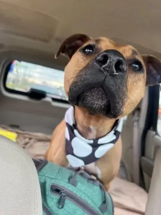Ruby