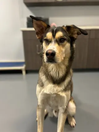 Trip