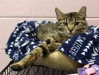 Milo