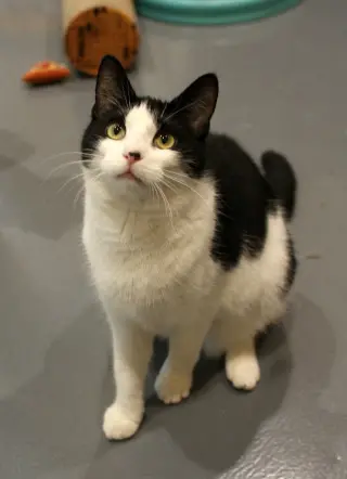 Smidgen