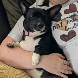 Lila