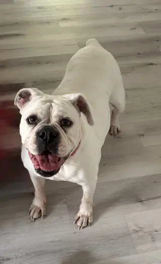 Khloe