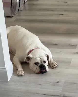 Khloe