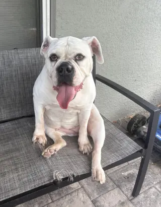 Khloe