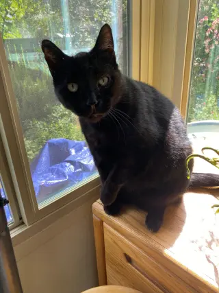 Luke