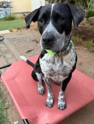 Tucker