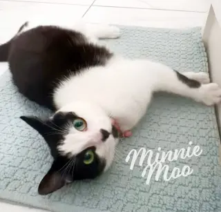 Minnie Moo #love-machine