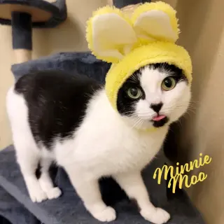 Minnie Moo #love-machine