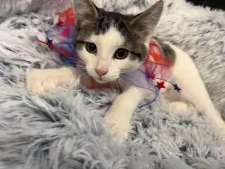 Rita