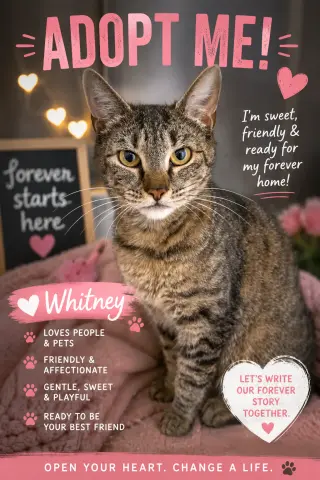 Whitney (FCID# 05/28/2026 - 53 Trainer)