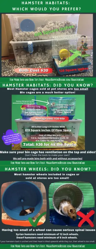 Miley (Courtesy Listing)