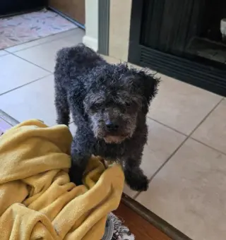 Charlie