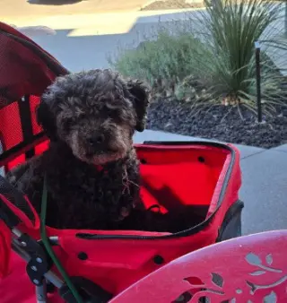 Charlie