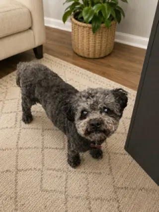 Charlie