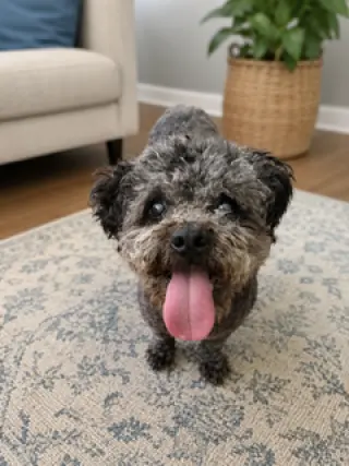 Charlie