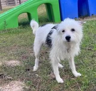 Flora Mae in TX