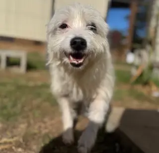 Flora Mae in TX