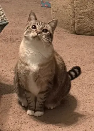 Ella